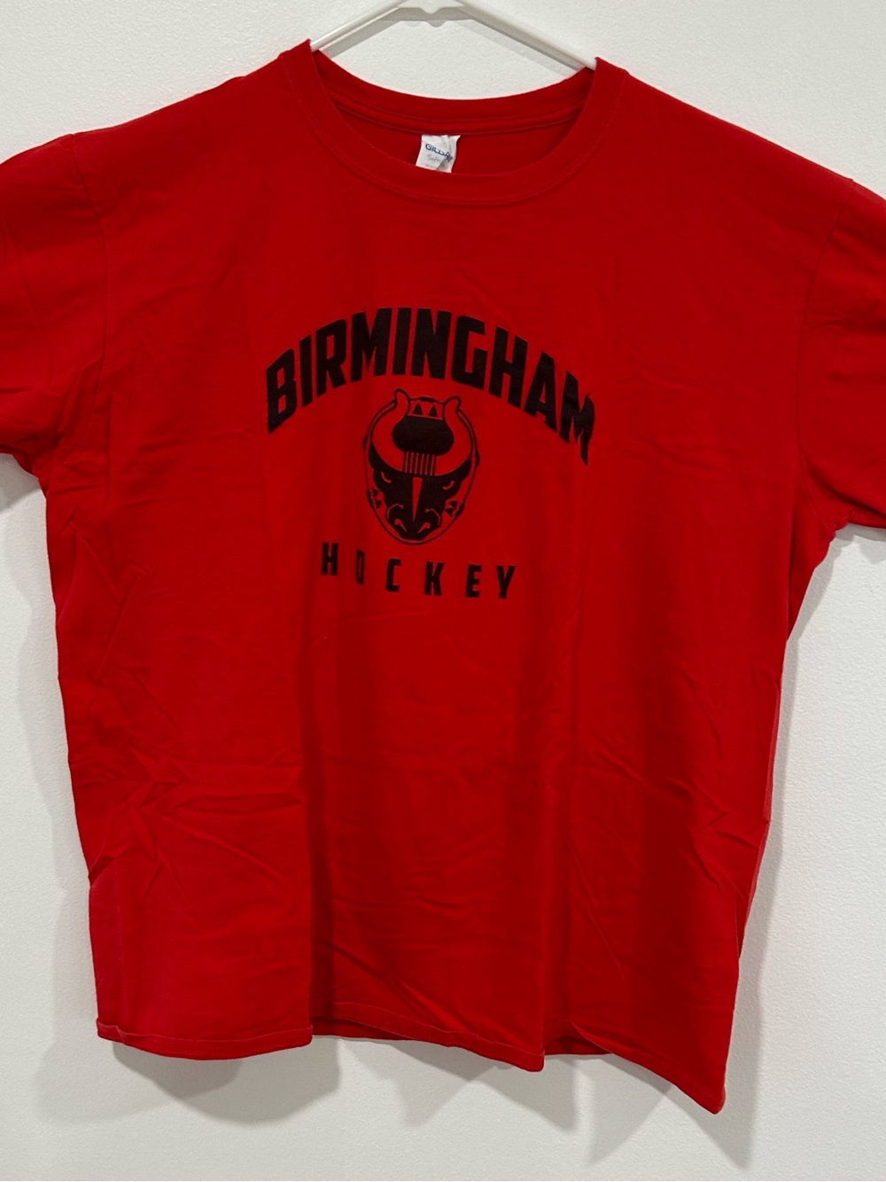 Birmingham Hockey Red Graphic Tee -SPHL Minor League Hockey XL